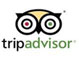 trip advisor